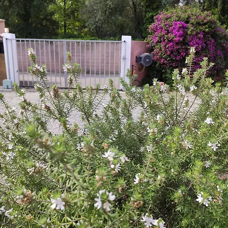 Tatil Evi Brimi Ghisonaccia
