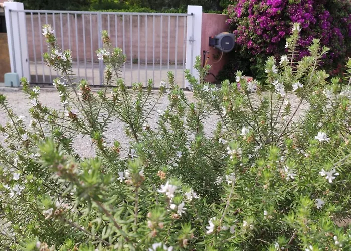 بيت للعطل Brimi جيزنوكسيا